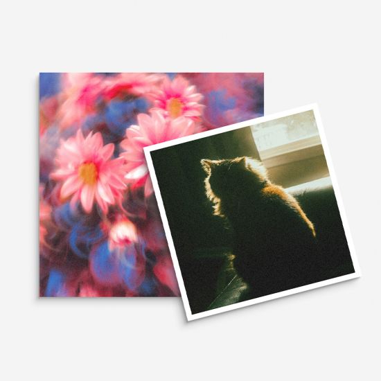 Rolo Revolog Nebula 1